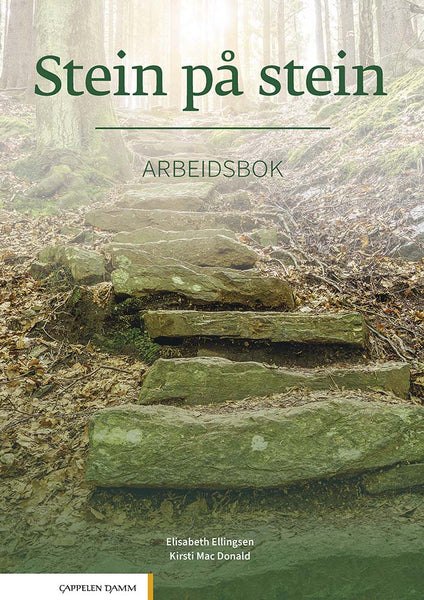 Stein p stein B1(2014)—норвежский язык — обложка
